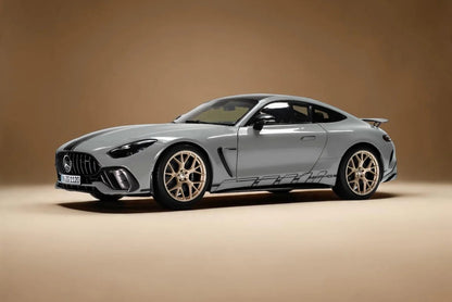 NZG Mercedes Benz AMG GT63 Pro (C192) Alpine Grey 1:12